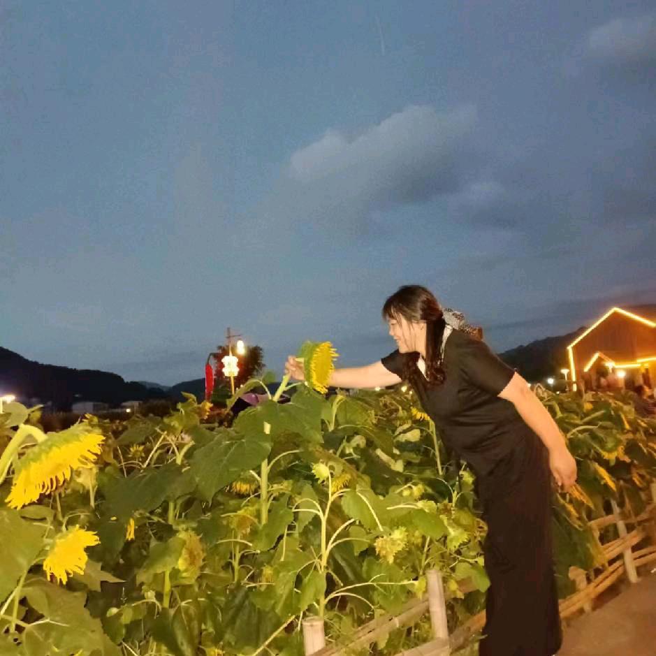 冬暖花会开
