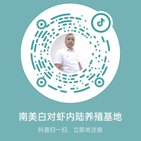 养虾仔