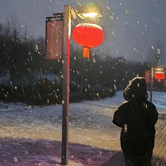 落雨萌宠