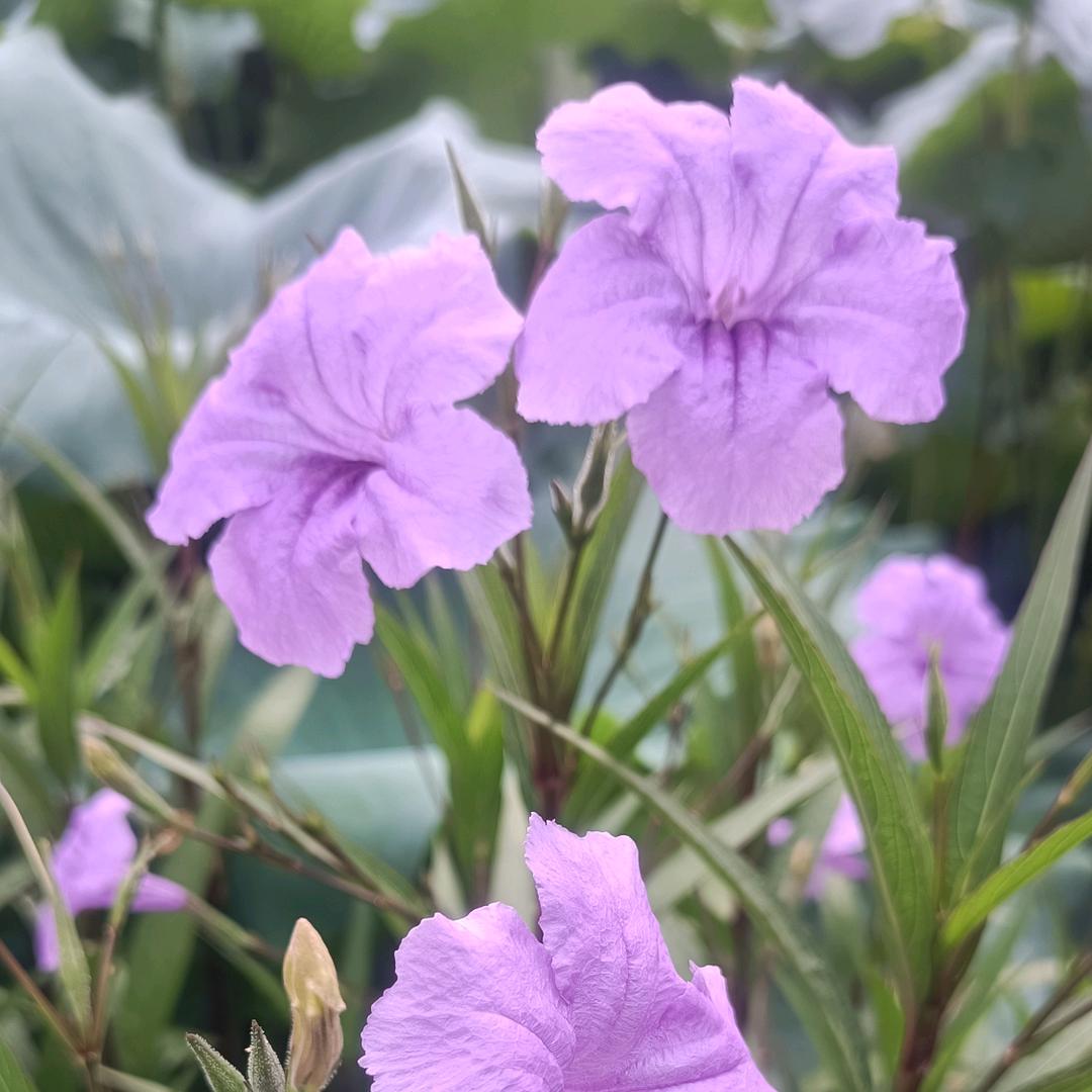 过过过过过过...