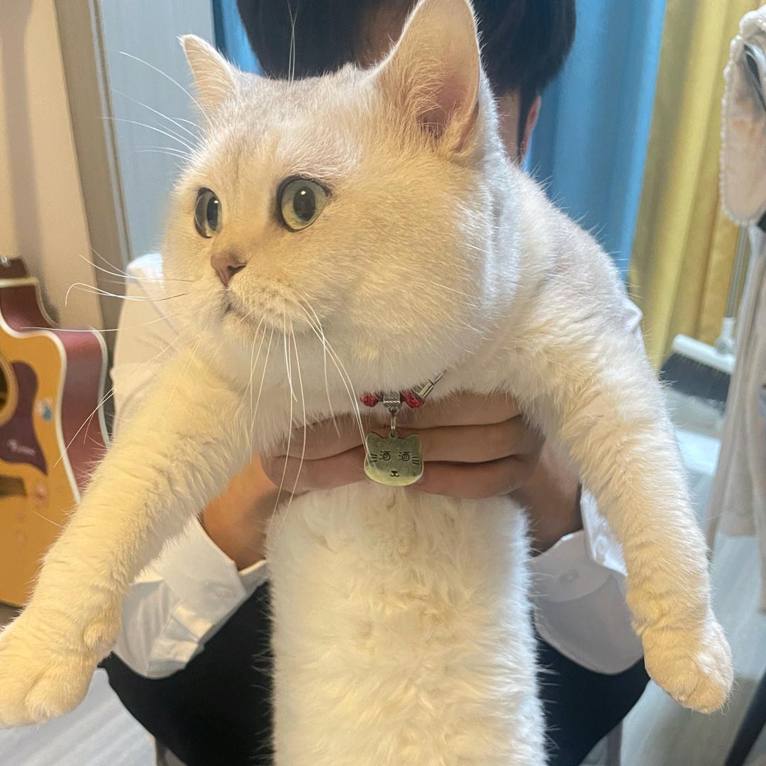 凡星⭐