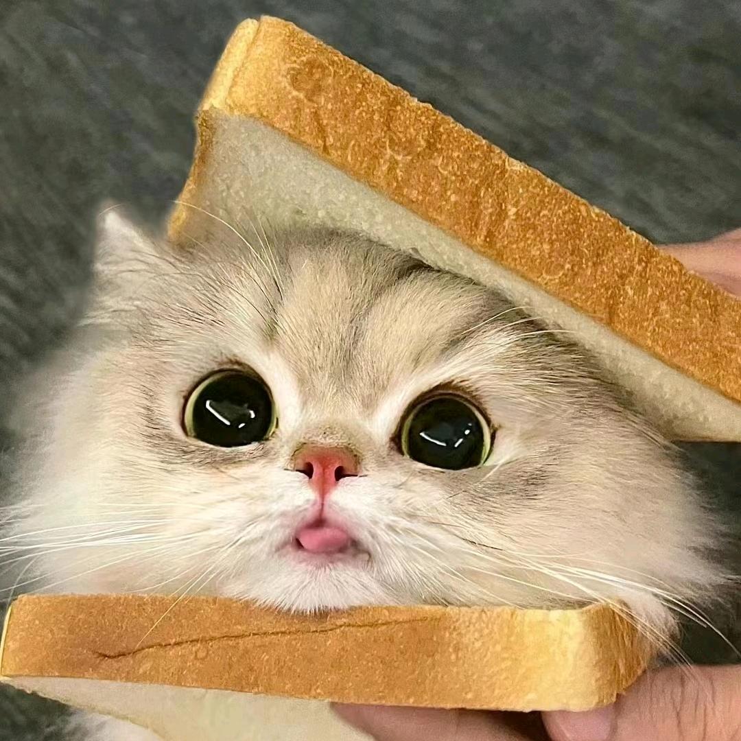 咪咪子