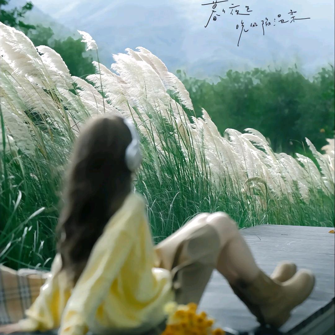 小魚睡ᶻᵘº啦