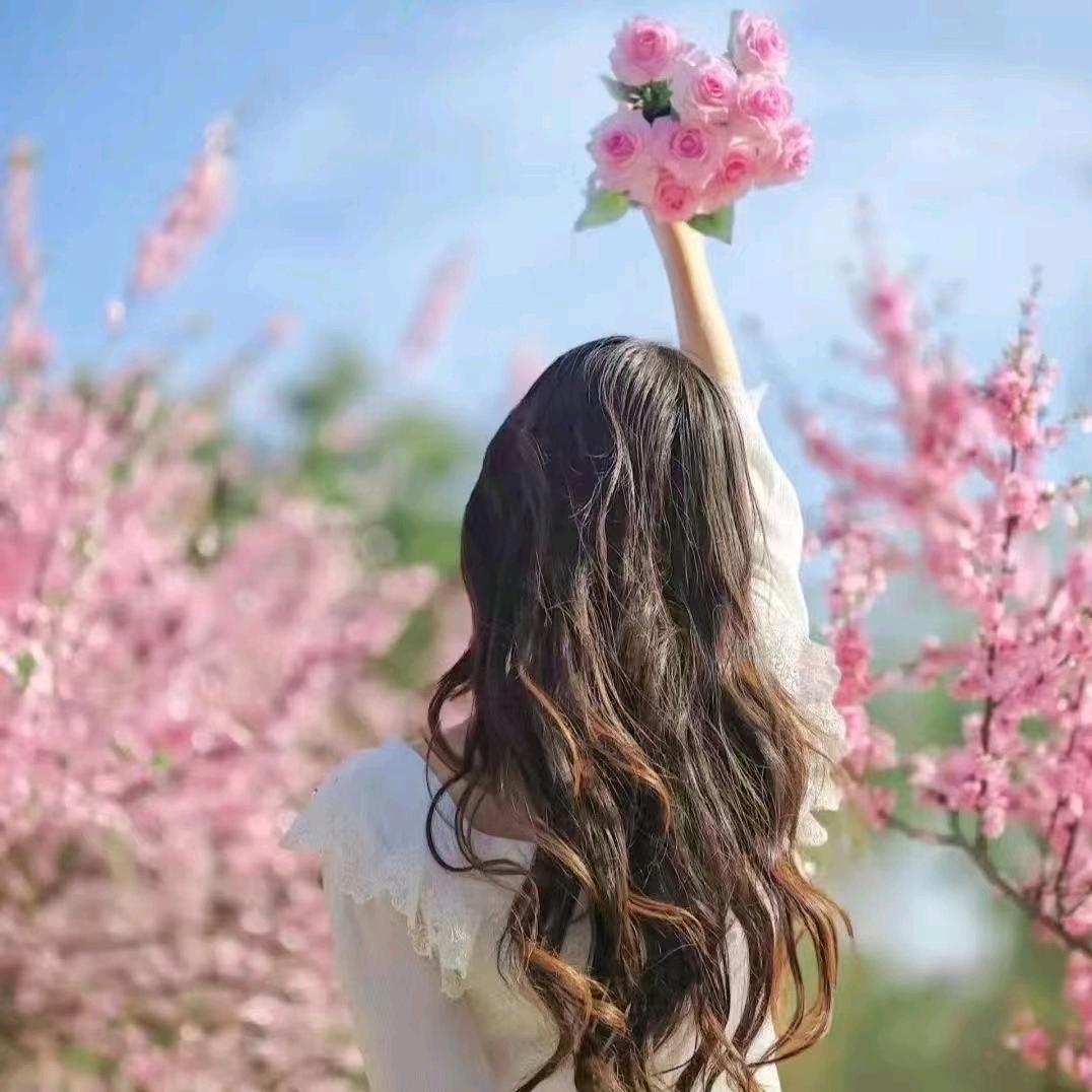 @柴菇凉""