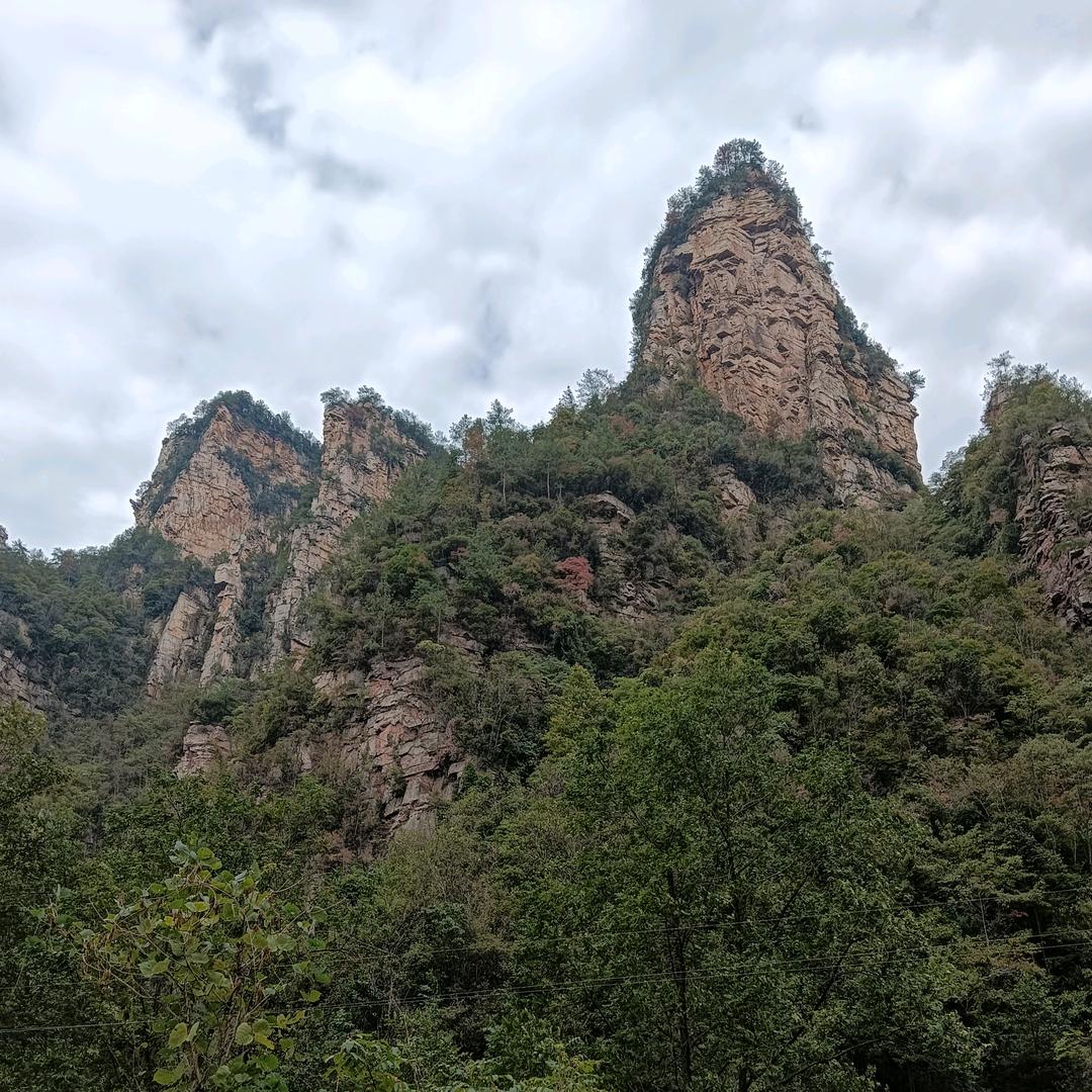 《一个人的生活 》