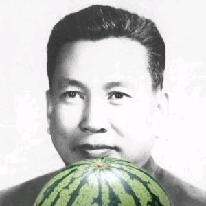 城市化瓜子
