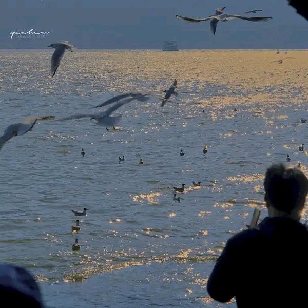 ➽海的那边是什么