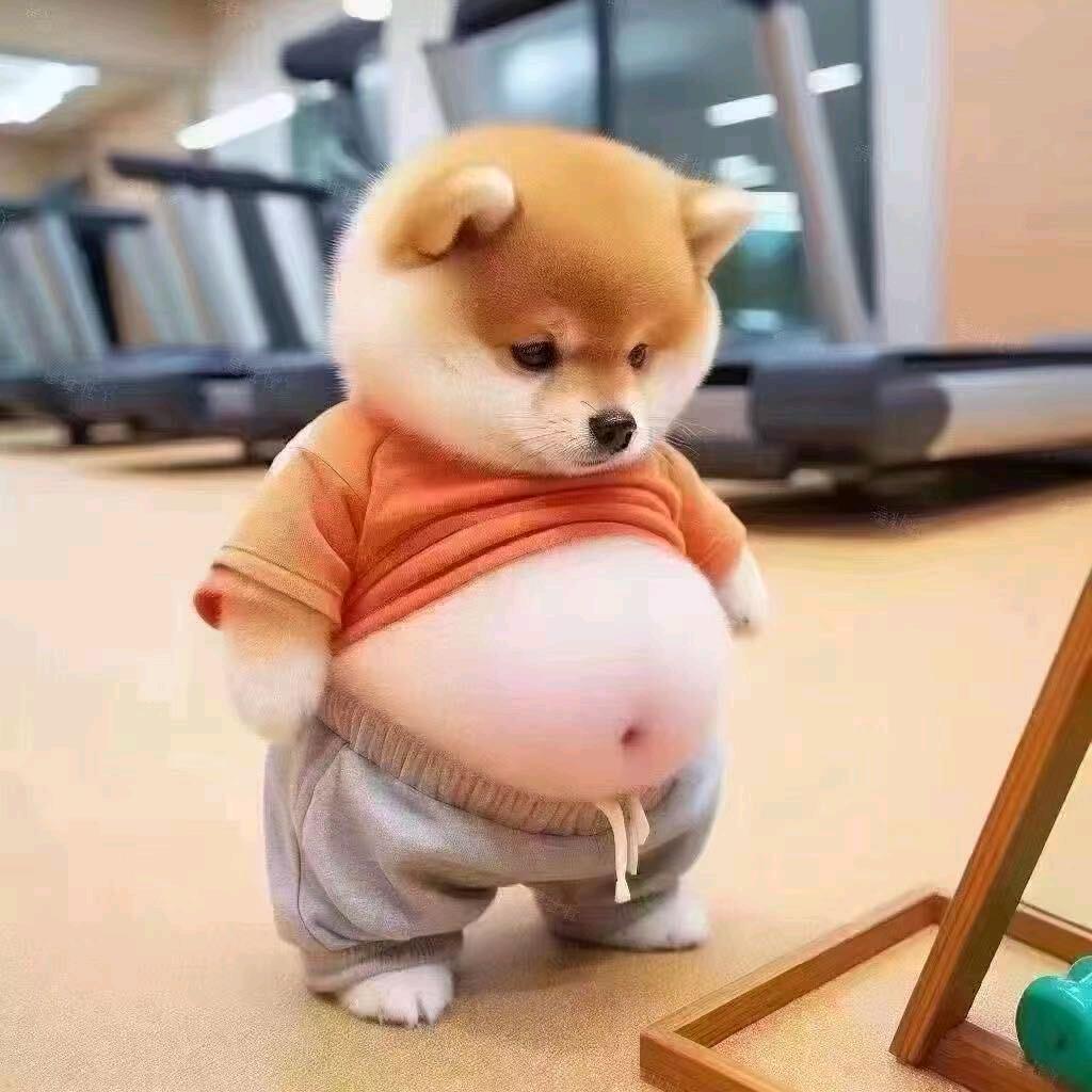 生活不易，全靠演技