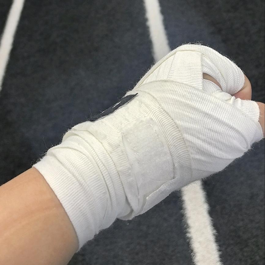 狮狮（飞行员，请求降落！）