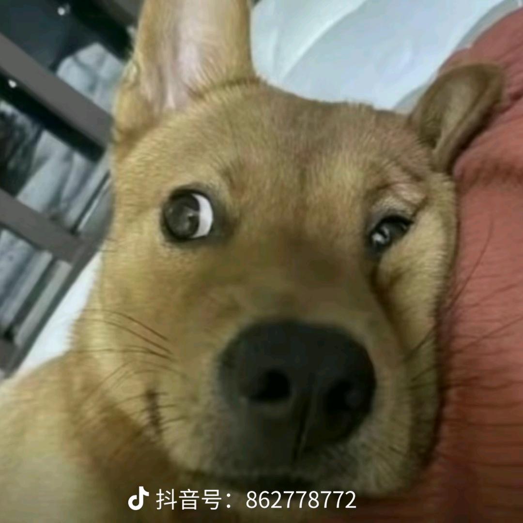 当我想你的时候