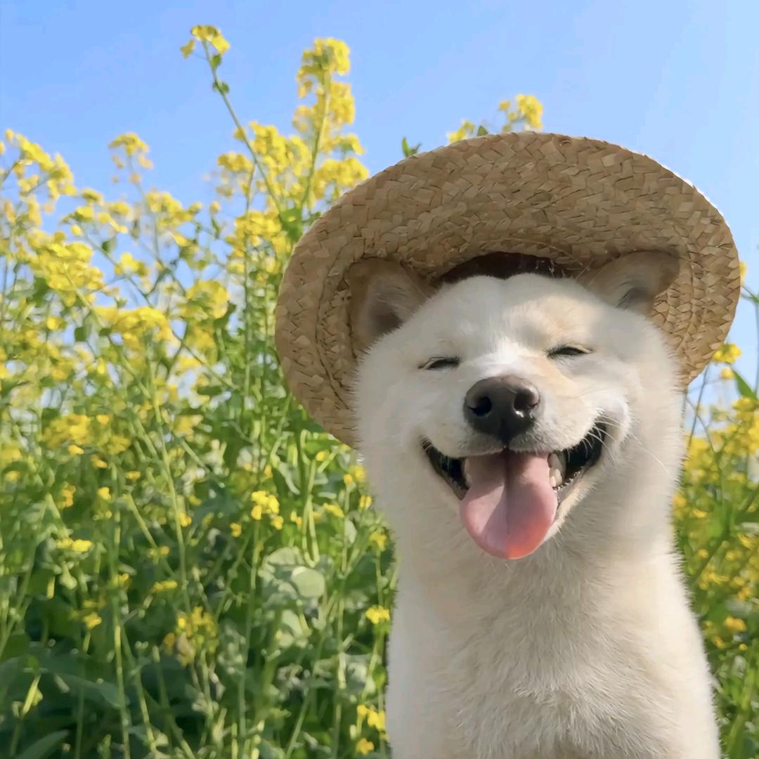 再赴春山