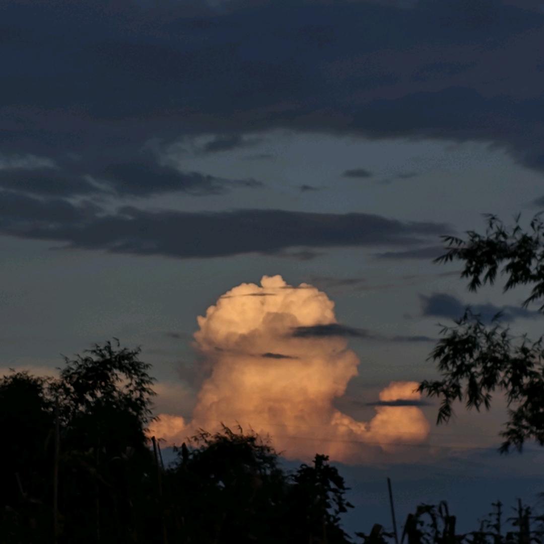 制造业降本增效
