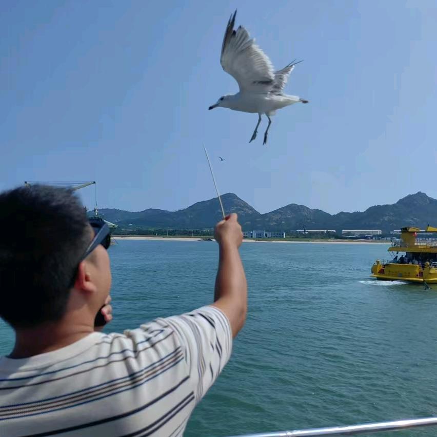 没头脑和不开心