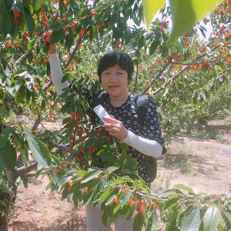 李姐⁶