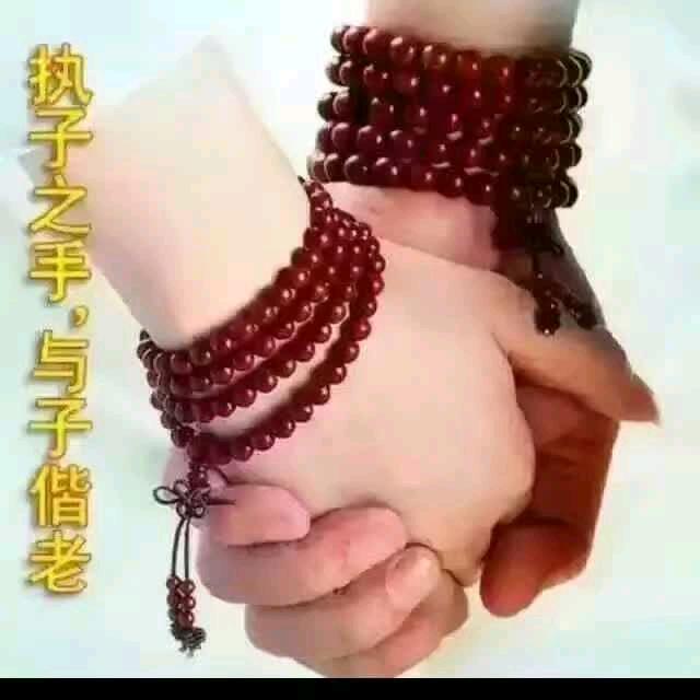 相融共生