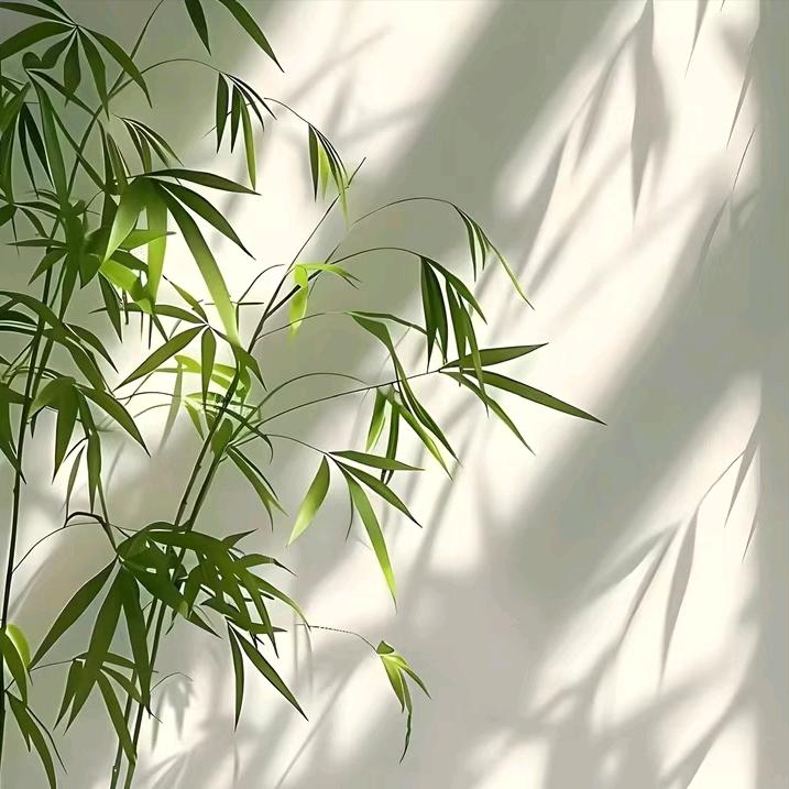 皓扬好物