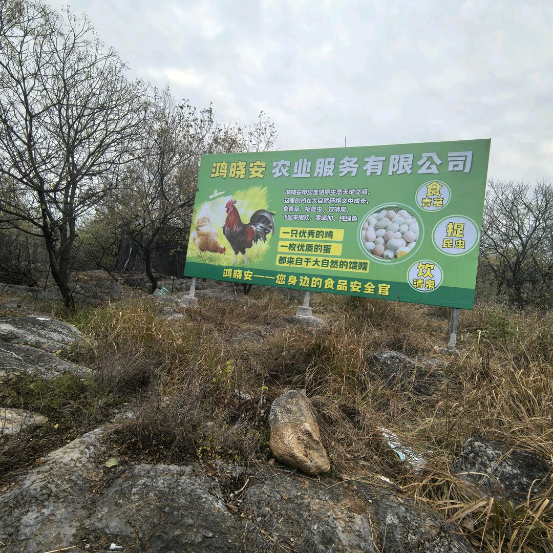 鸿晓安生活馆