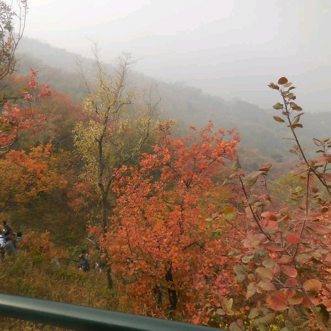 多宝好物