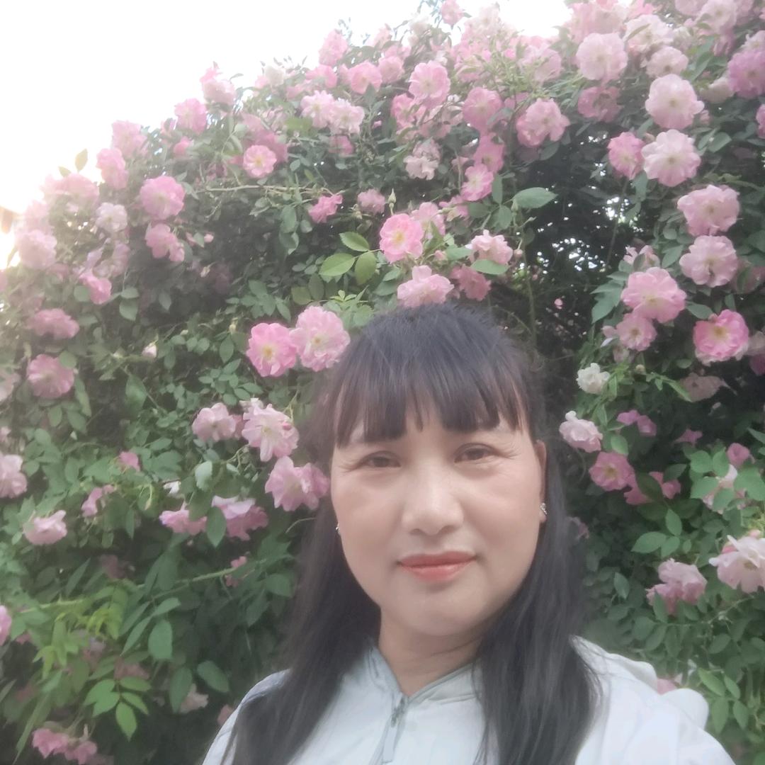 一支玫瑰
