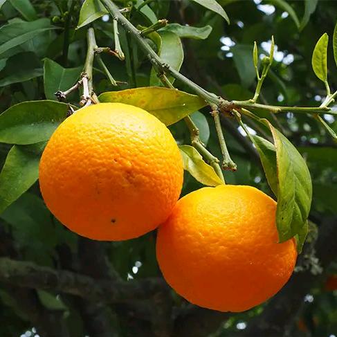 开心快乐永相伴