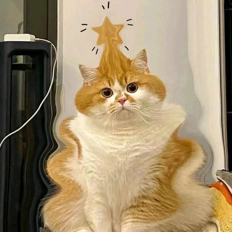 睡到孜然醒👀