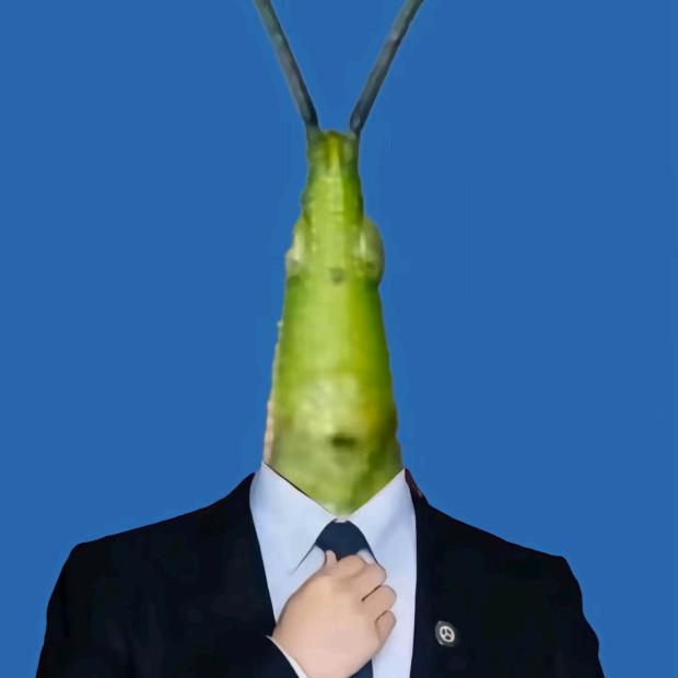 古菇顾
