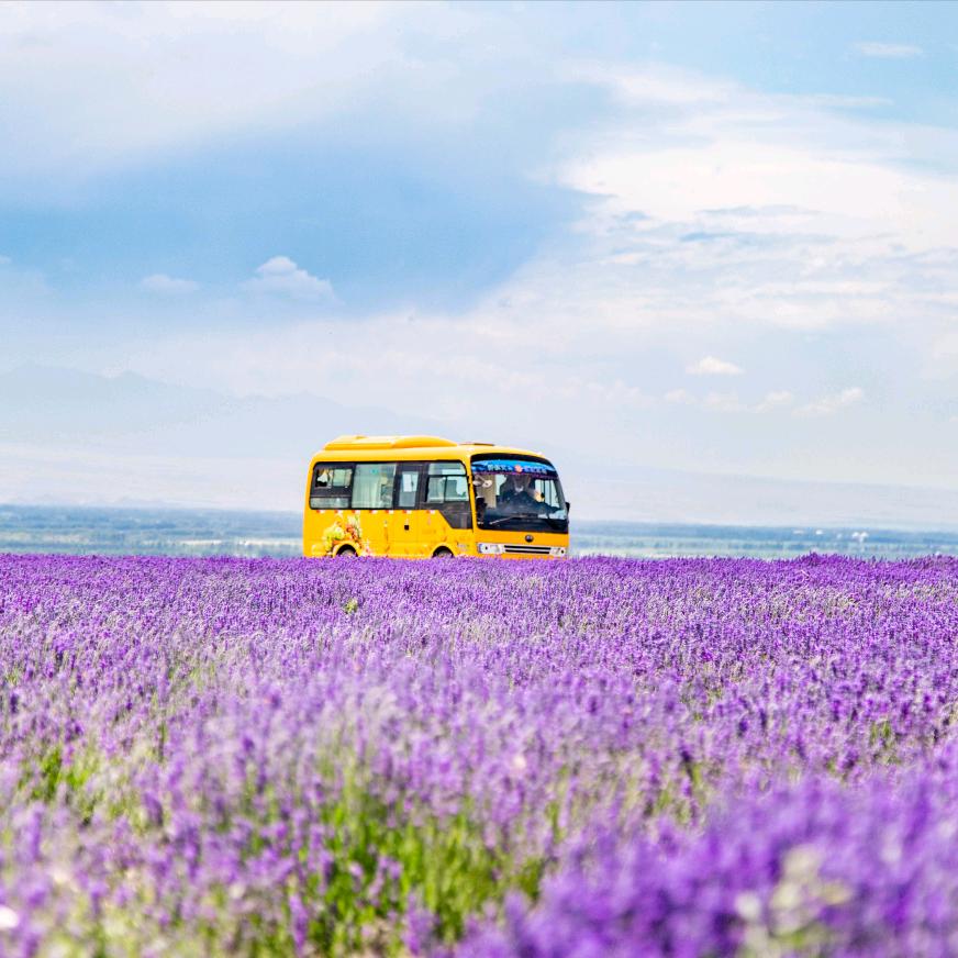 加菲猫的幸福生活