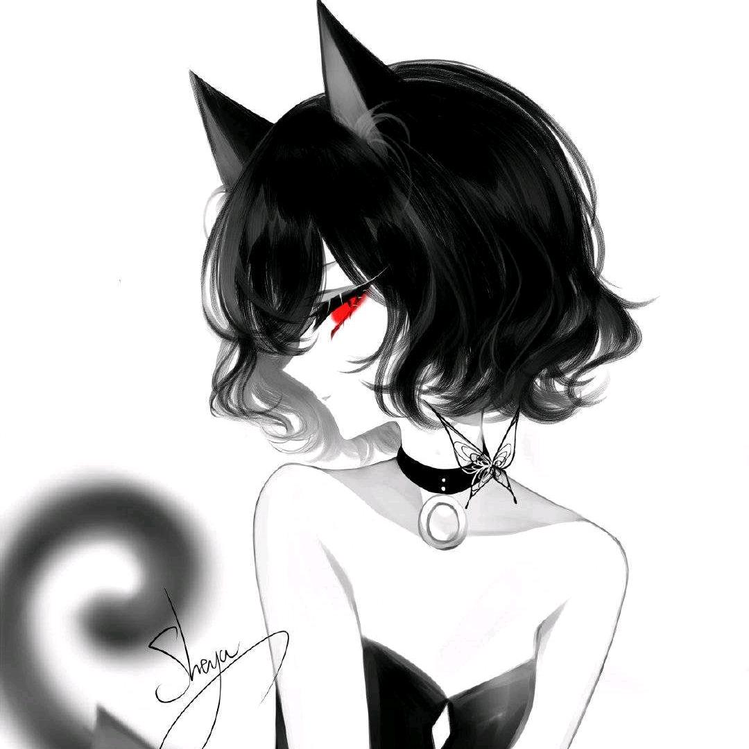 貓貓（蒲月狸奴）