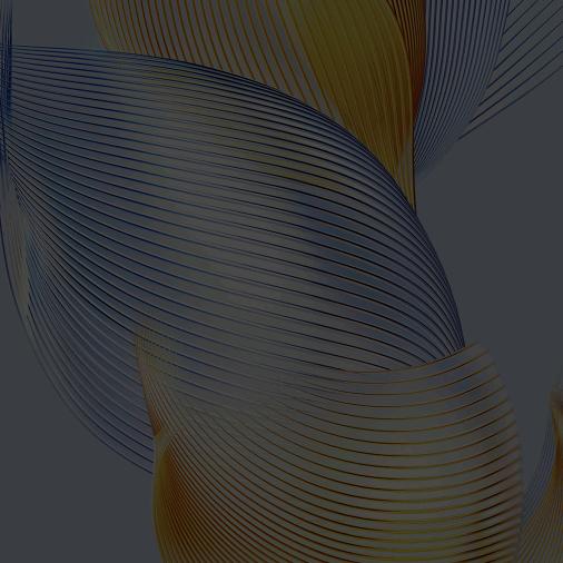 丑 八 怪