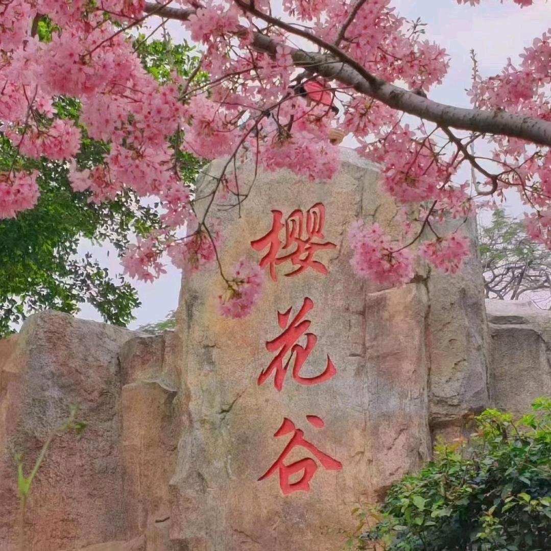 淡然