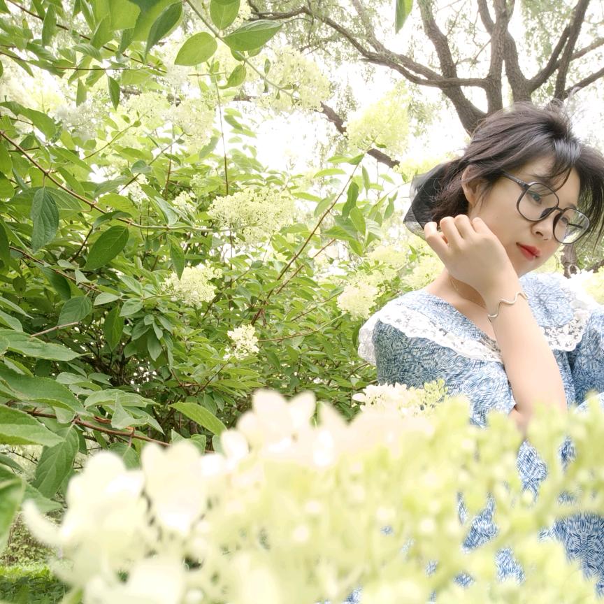 樱桃小丸子🍒