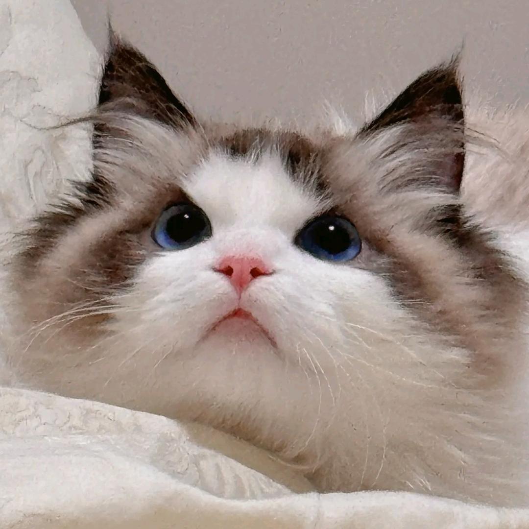 漫