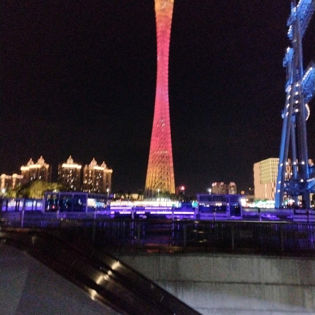 雪中之王一一雪豹🐆