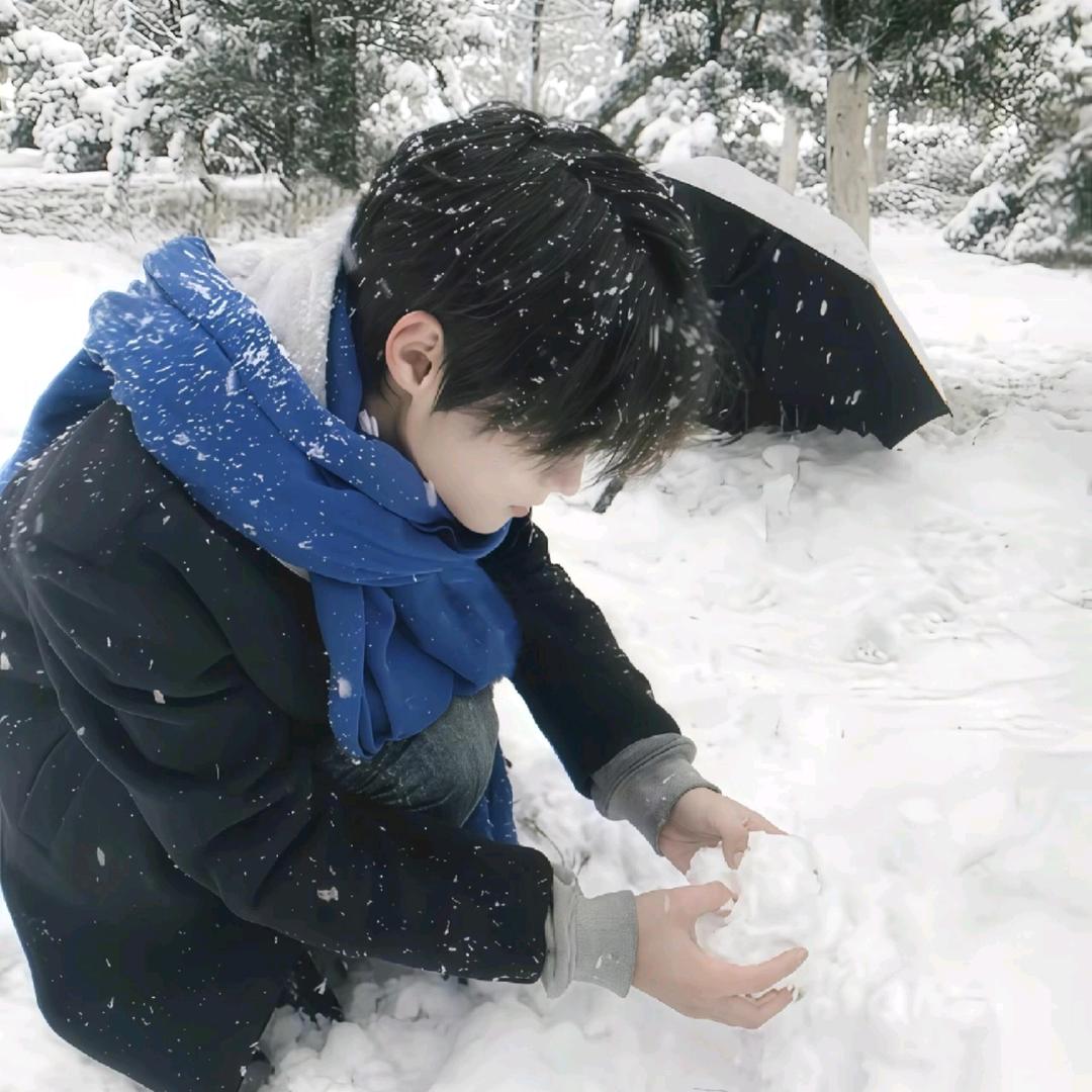 柏林的雪