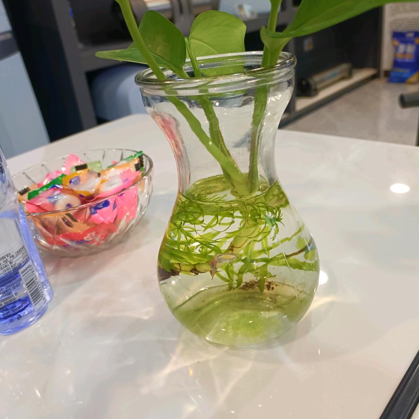 爱玛特全屋净水—曹森林