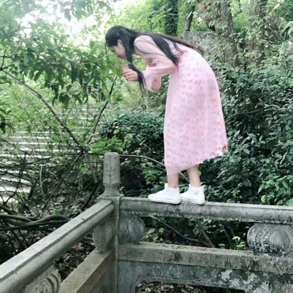 日月红晨