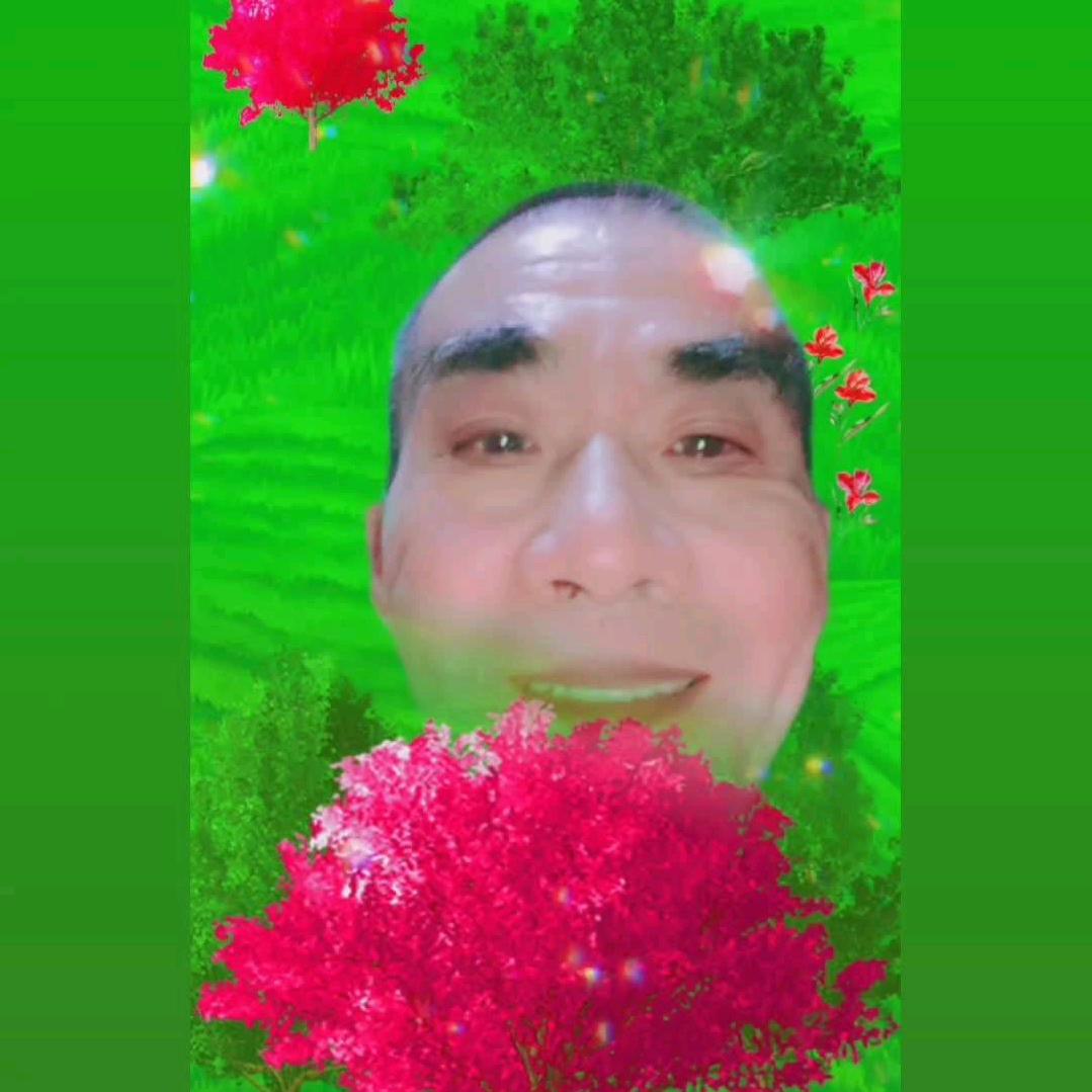 谭亲高