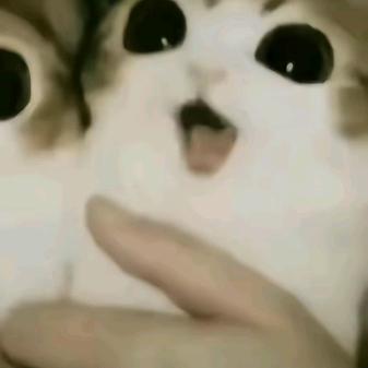 我咋钱包里少四元？