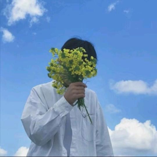 月下清风