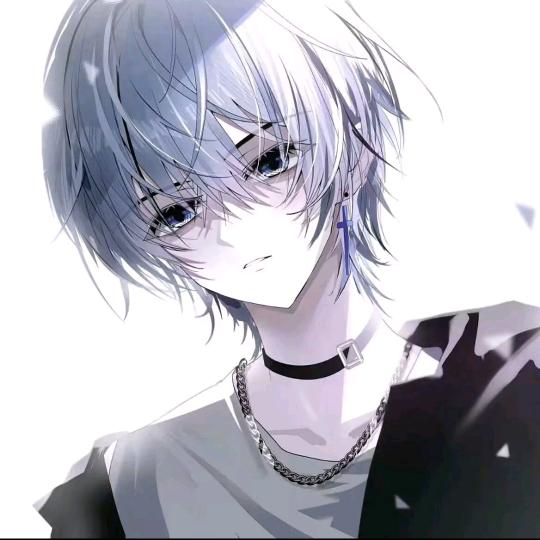 氣质爷，。。o>_<o