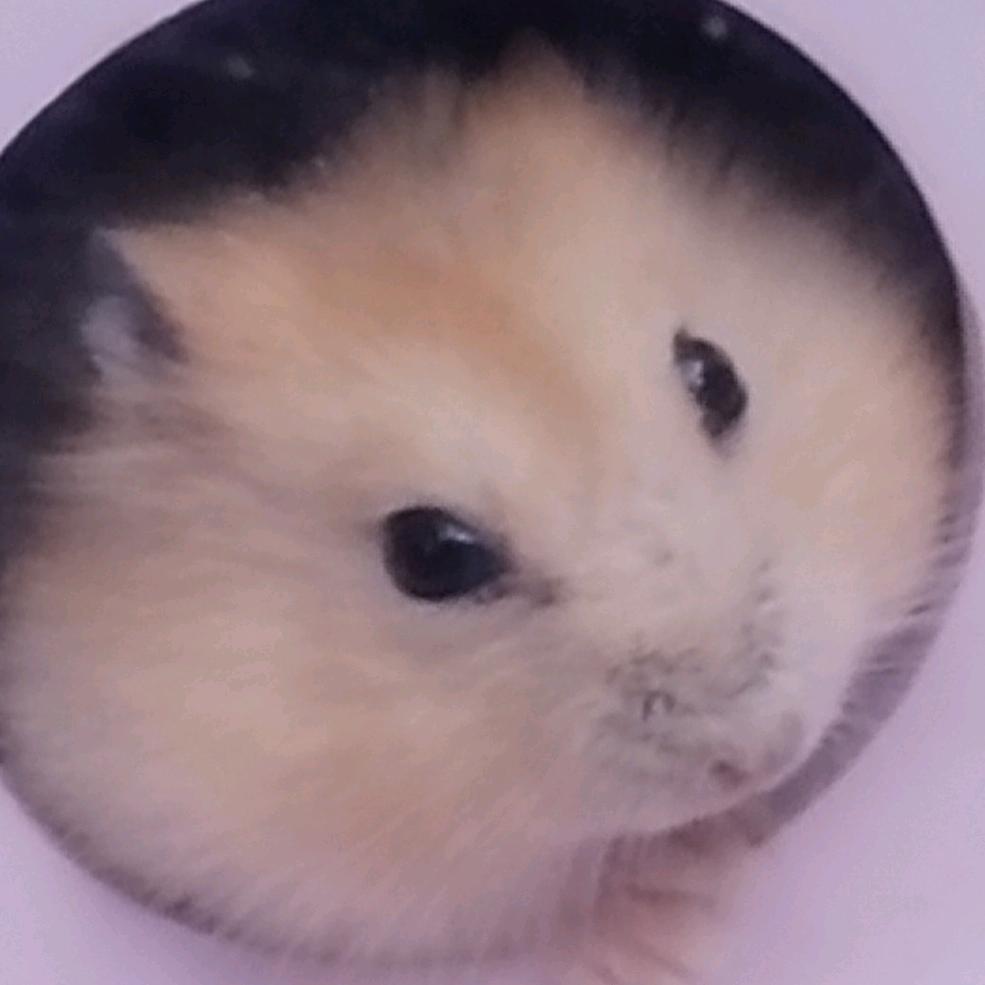 饭