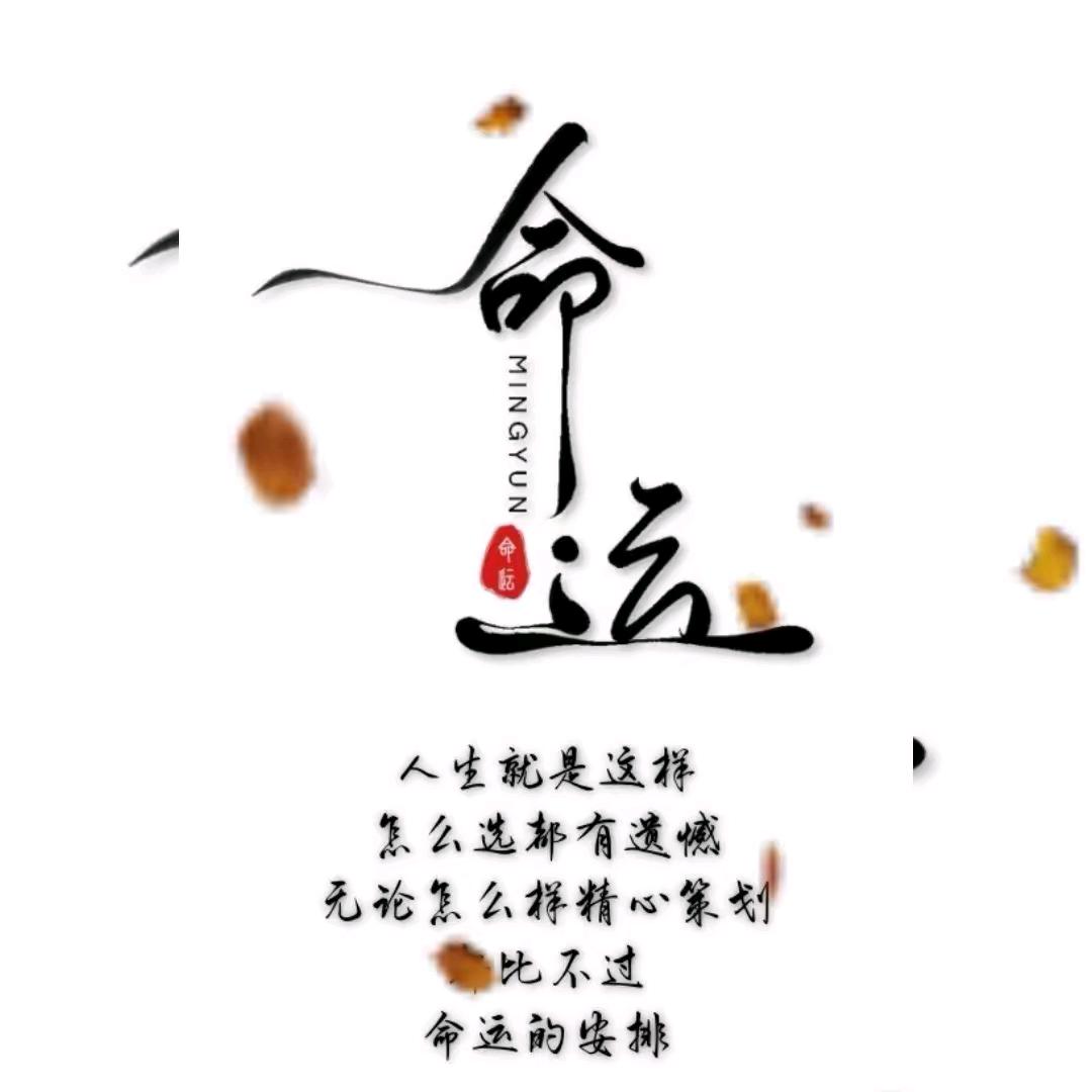 铁棍山药