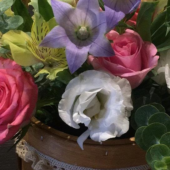百🈴花