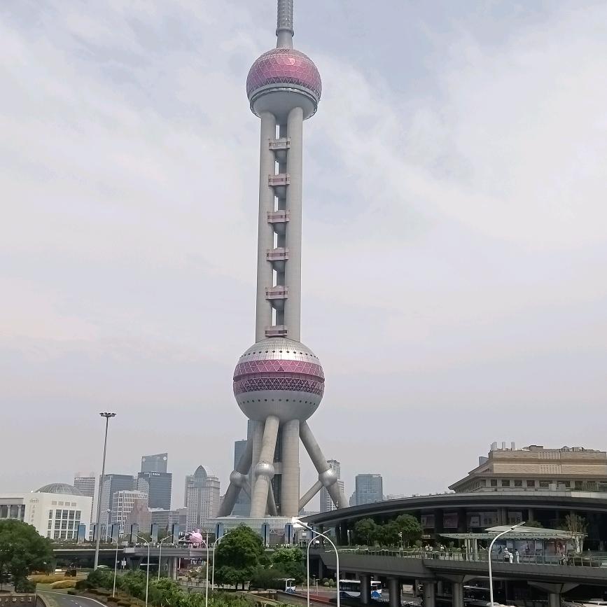 大龙