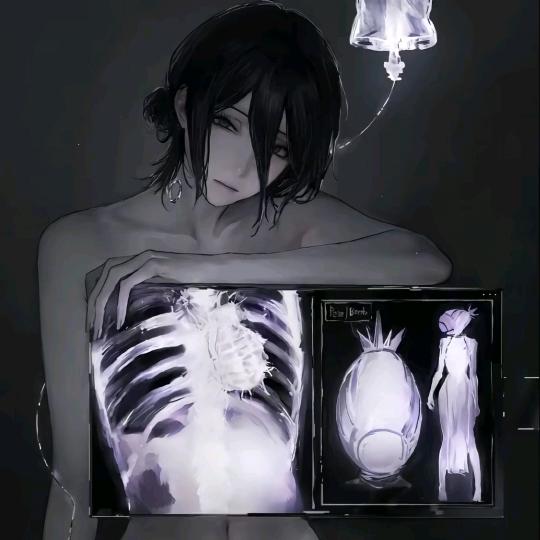 葬心
