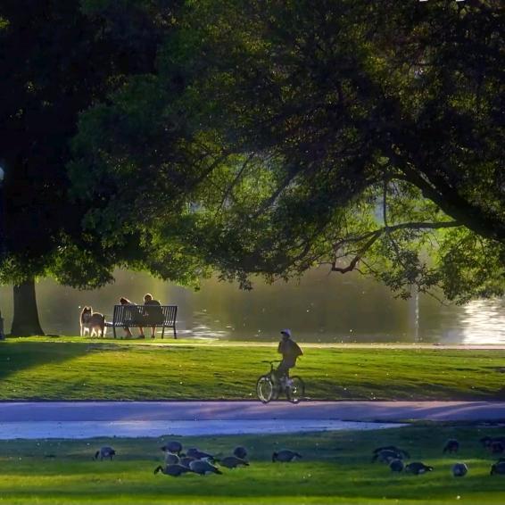 让子弹飞一会儿