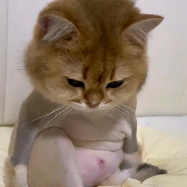 年年岁岁花相似☞唯有Ctrl+S