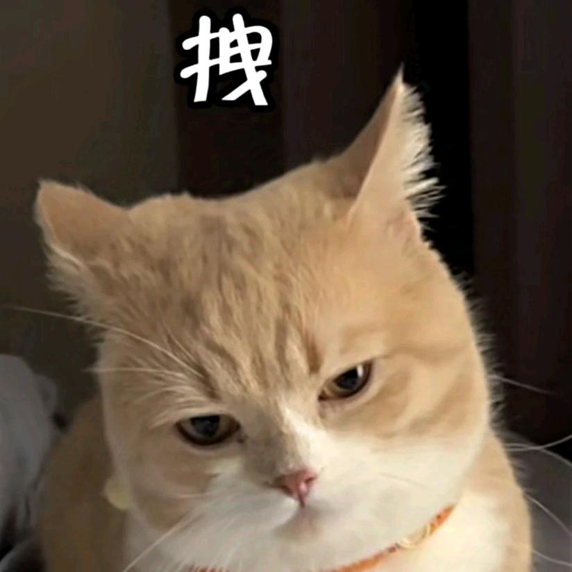 我才不在意ˢˢ