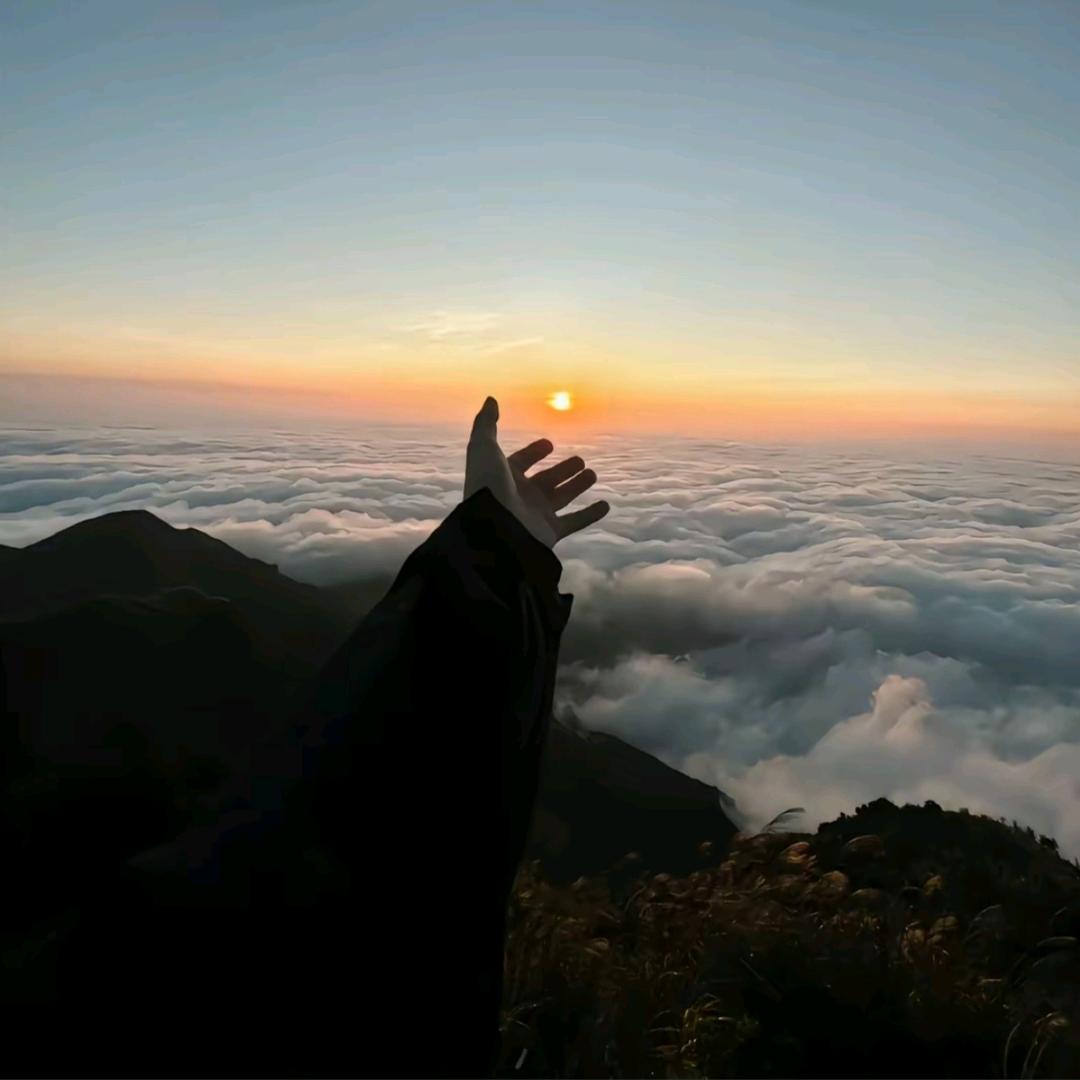 “定陶首家”【贝贝南瓜糯米饭】🎃🎃