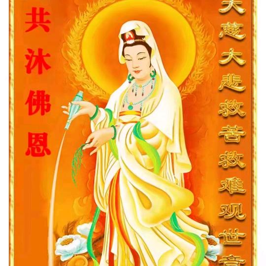 小李子（华）